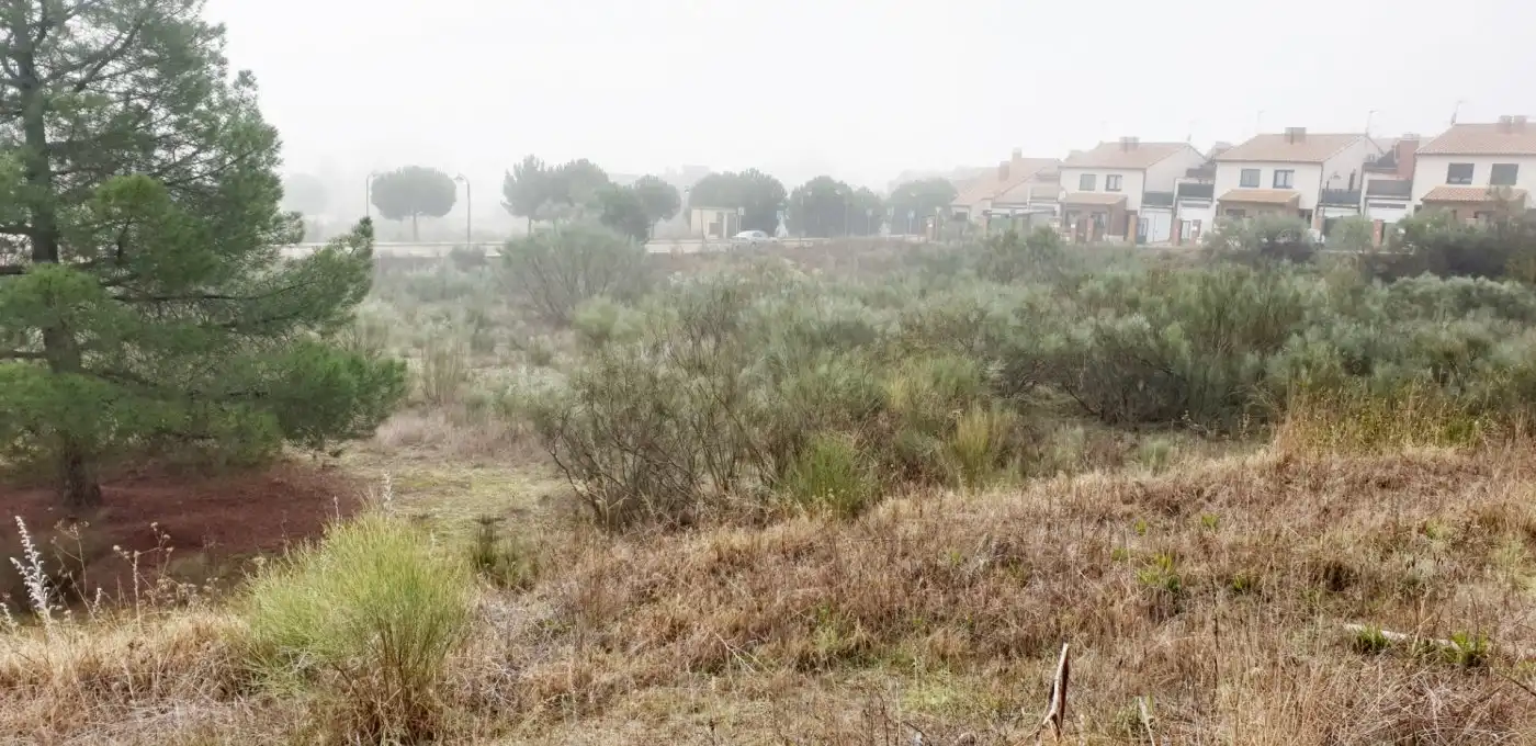 Terreno residencial en venta en Boecillo, imagen 16