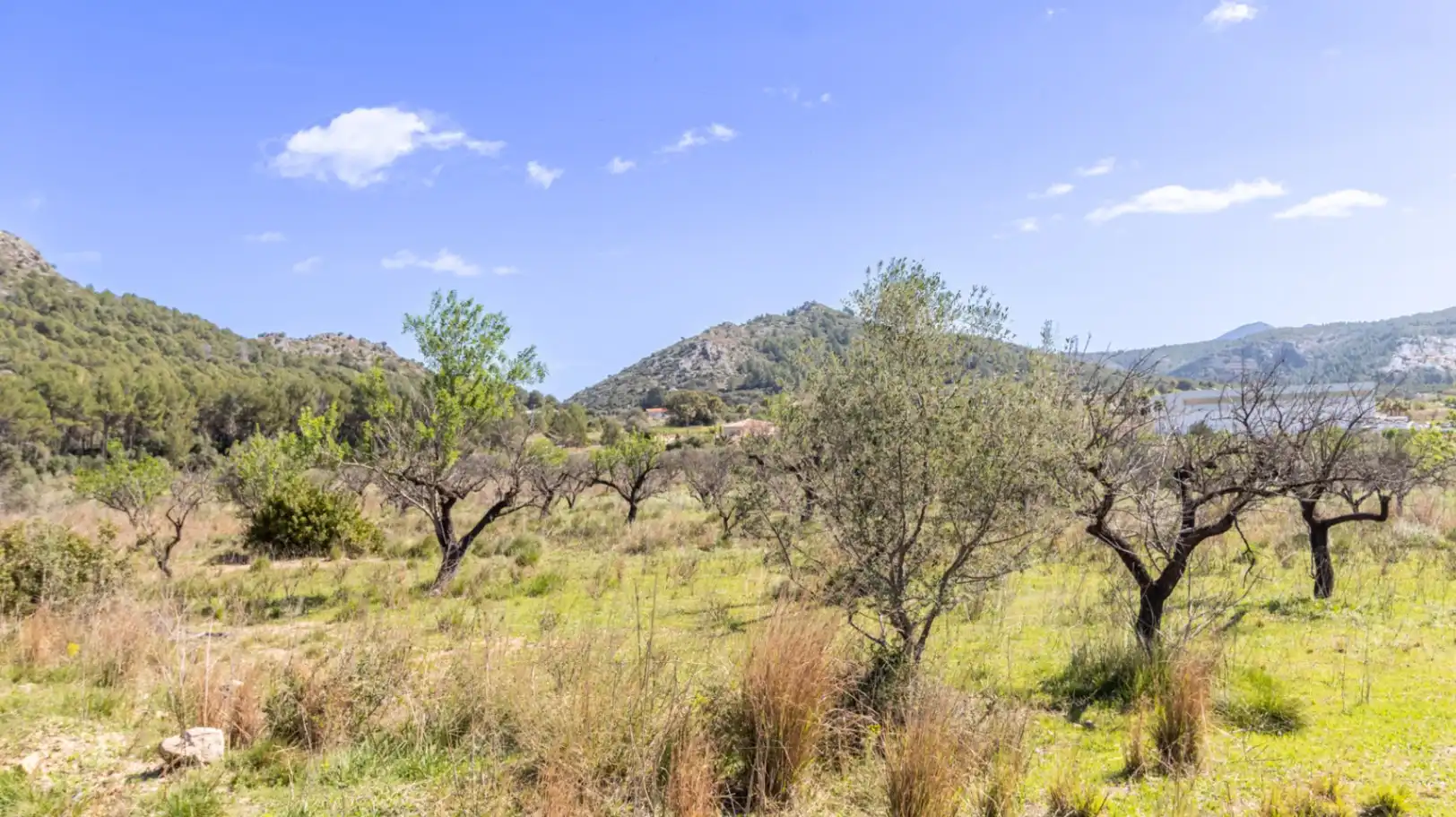 Residencial en venda en Murla