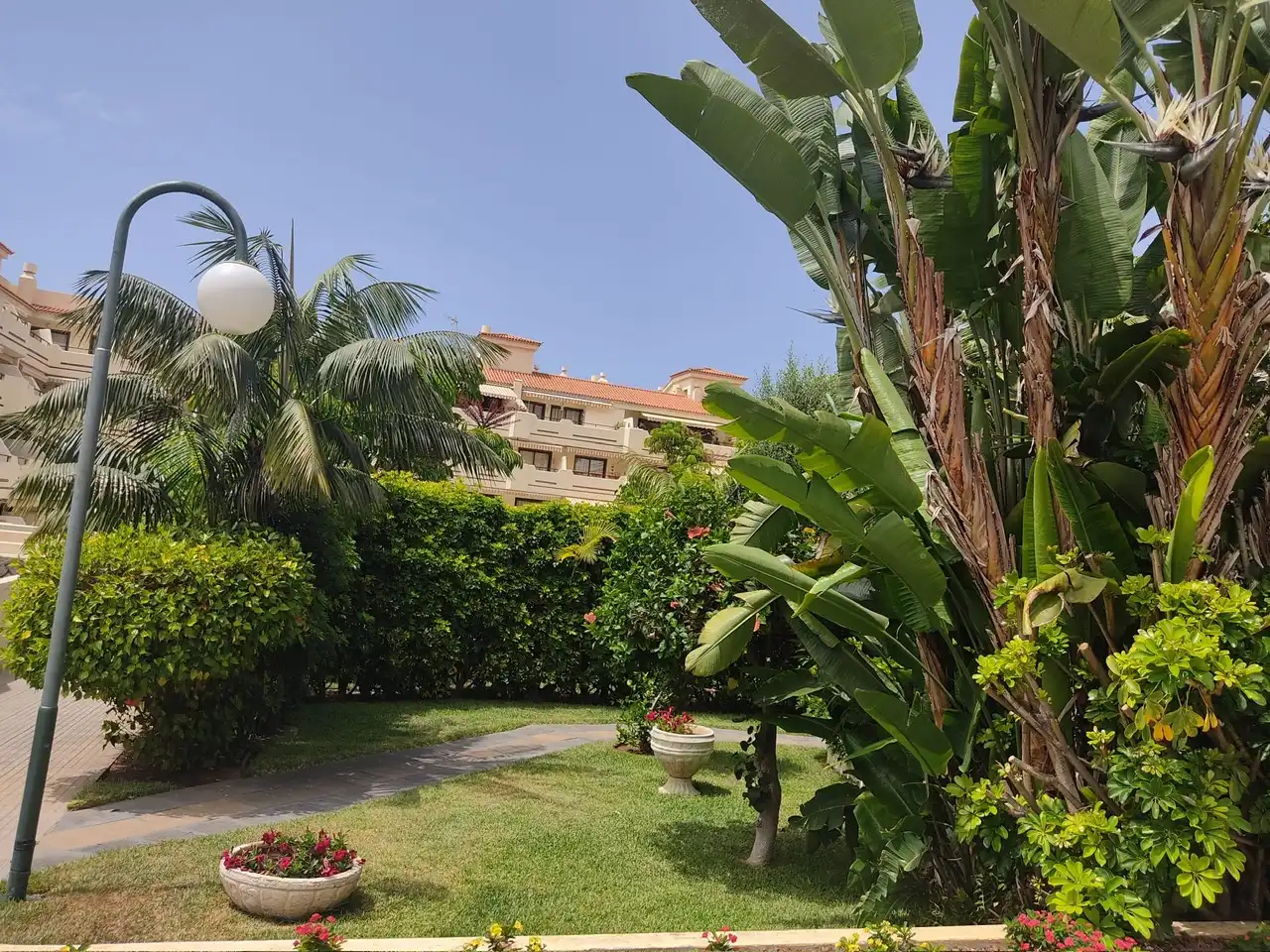 Garden of Apartments for rent in Puerto de la Cruz  with Terrace, Furnished and Washing machine