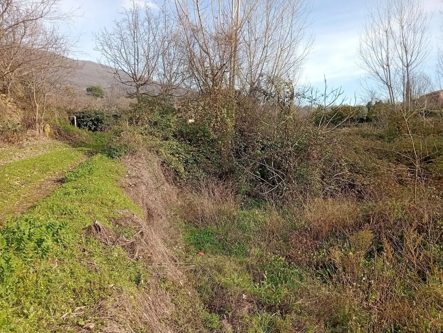 Terreni e lotti in vendita a Valverde de la Vera, imagen 15
