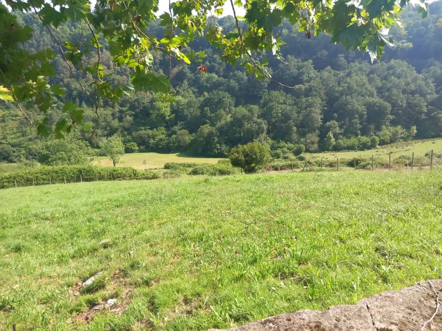 Terreni e lotti in vendita a Labarces - La Cardosa 21, imagen 10
