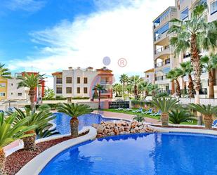 Vista exterior de Apartament en venda en Guardamar del Segura amb Jardí privat, Terrassa i Piscina comunitària