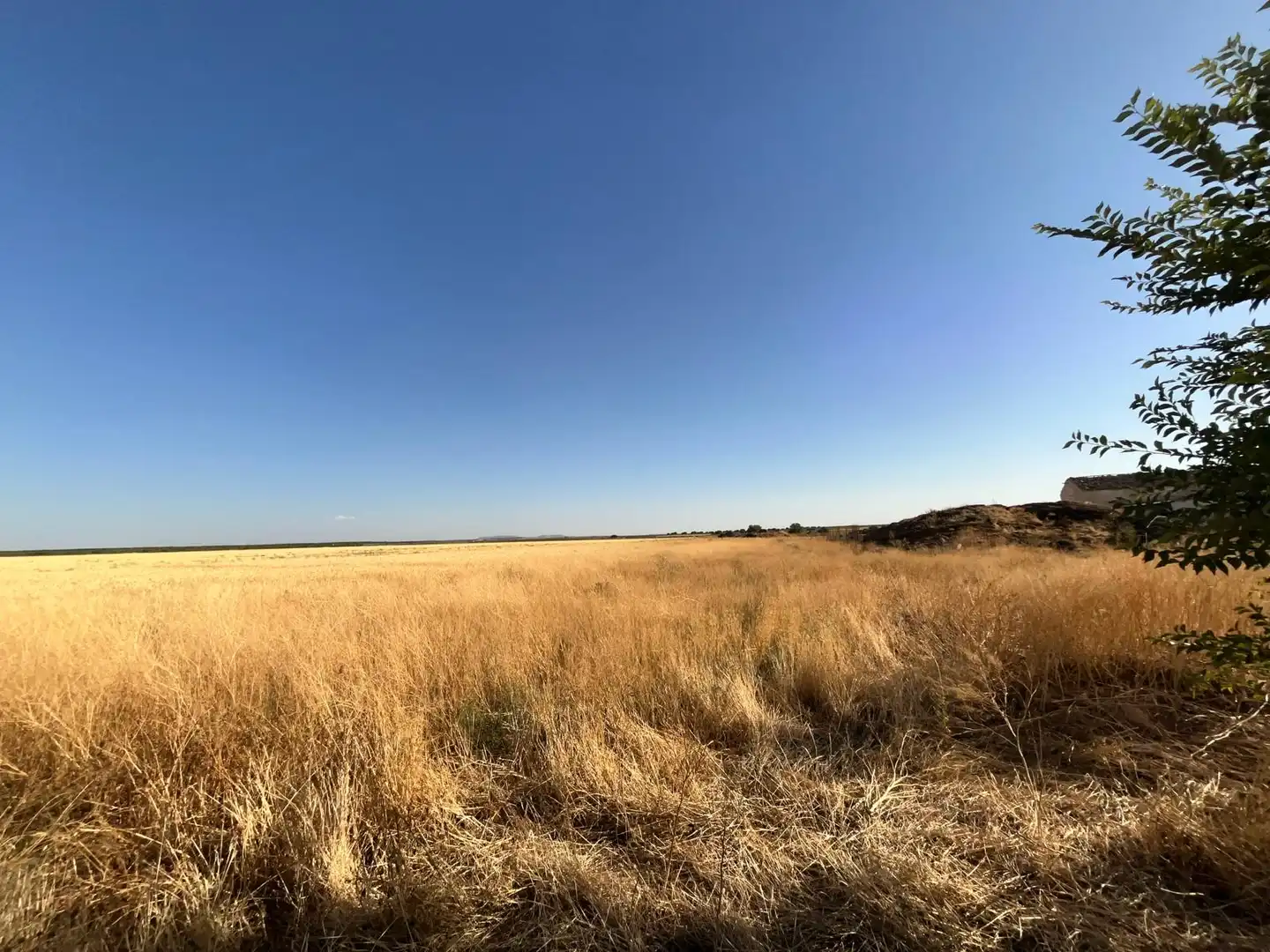 Industrial land for sale in La Solana  