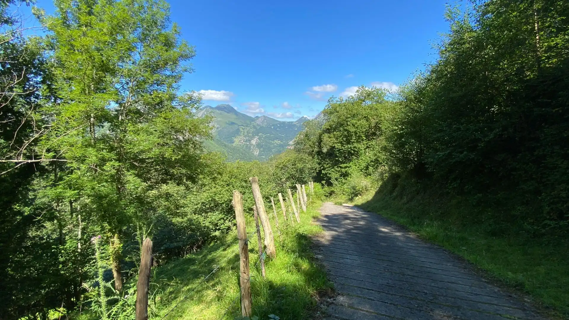 Terreno en venta en PRIESCA, Ponga