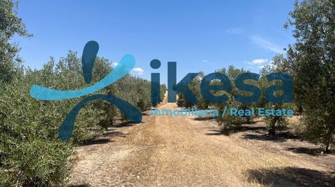 Foto 2 de Terreno en venta en Peal de Becerro, Jaén