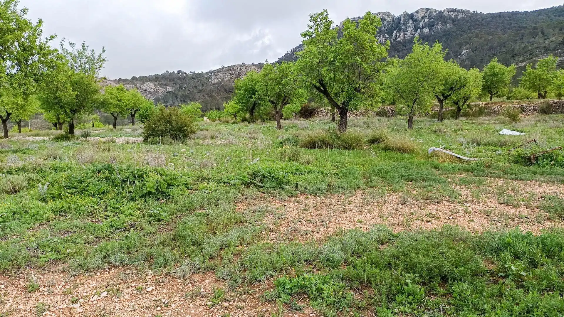 Haus mit Garten zum Verkauf in Hondón de las Nieves / El Fondó de les Neus, imagen 11