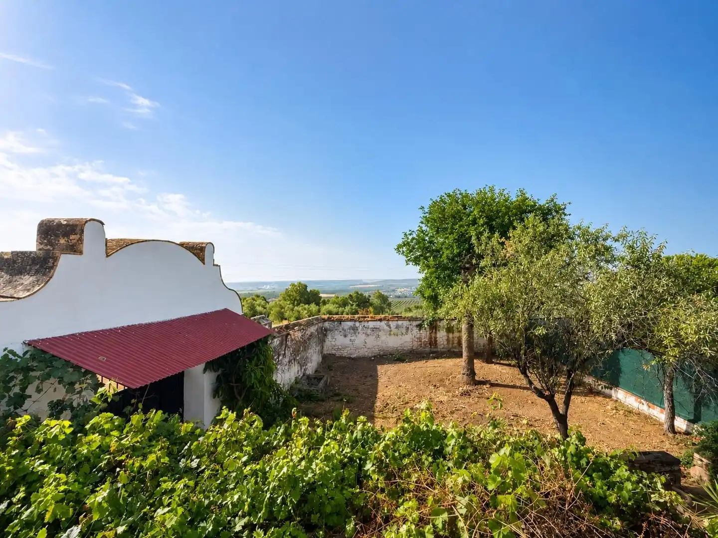 Jardí de Casa o xalet en venda en Montoro amb Jardí privat, Traster i Moblat