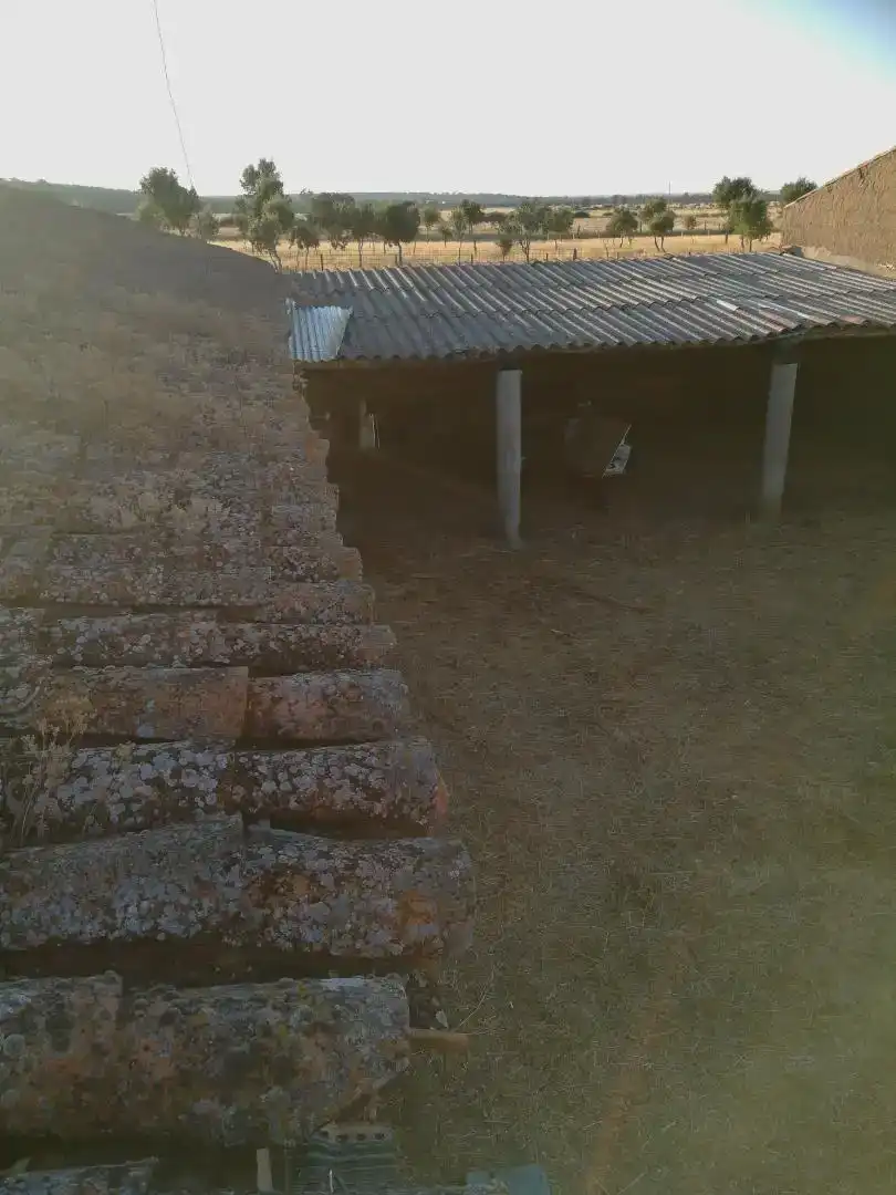 Finca rústica en venda en Ciudad Rodrigo