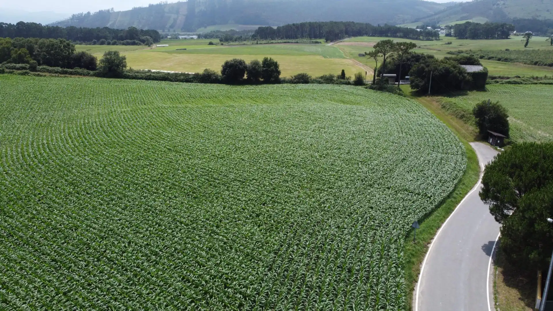Residencial en venda en Navia
