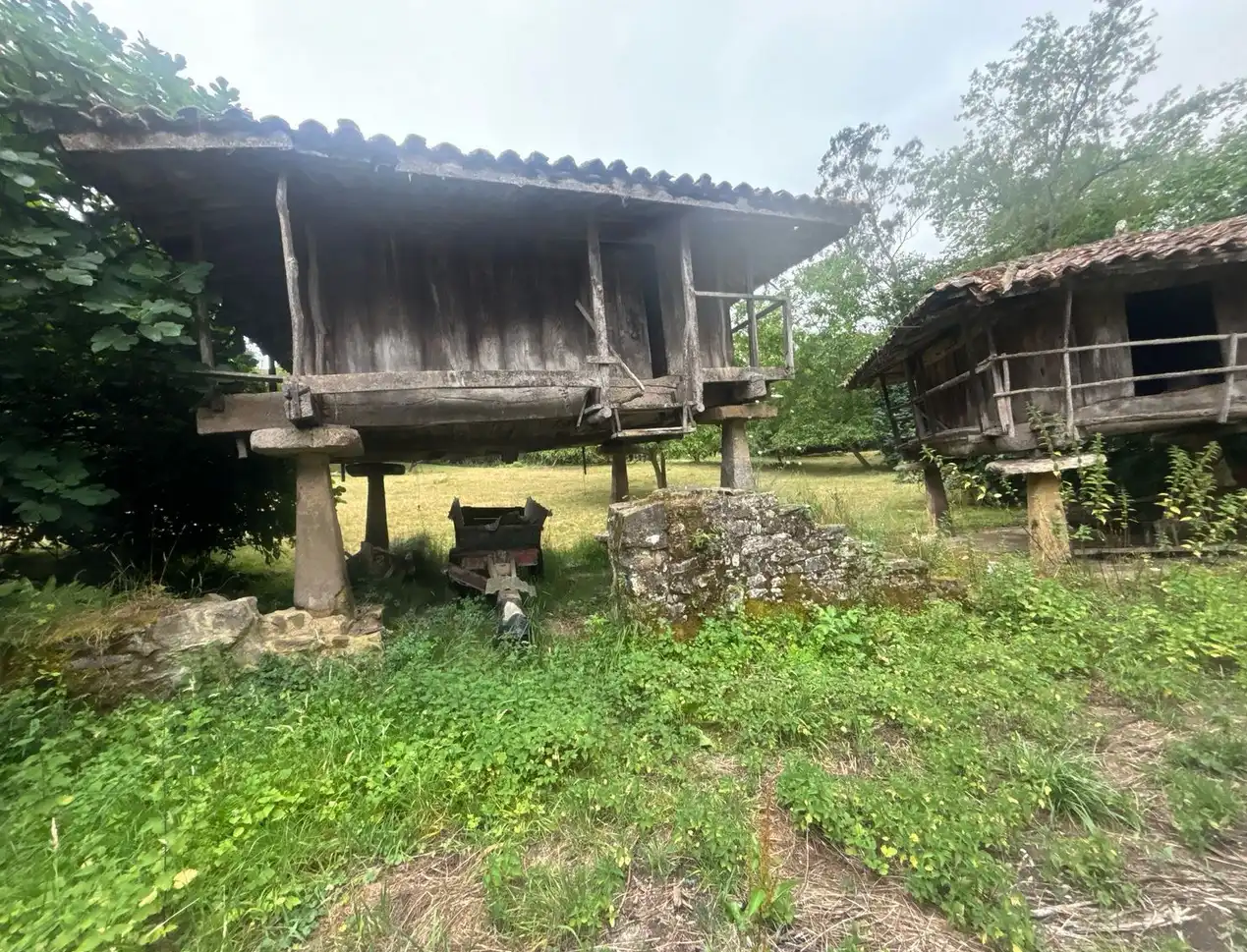 Vista exterior de Finca rústica en venda en Gijón  amb Jardí privat