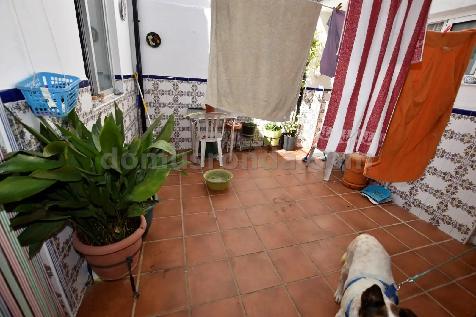 Vista exterior de Casa o xalet en venda en Ronda amb Terrassa, Traster i Balcó
