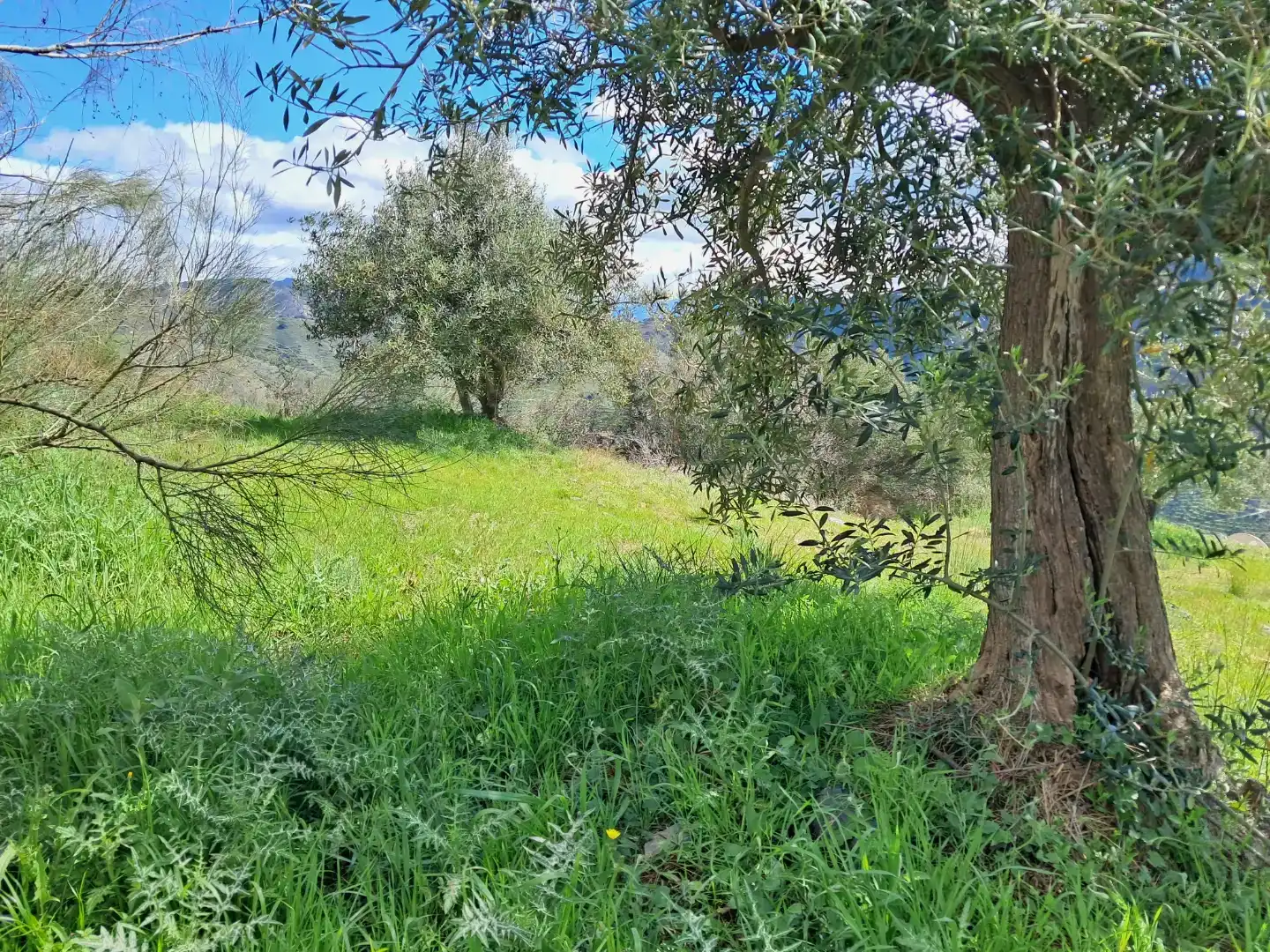Finca rústica en venda en Almuñécar amb Traster, Moblat i Forn