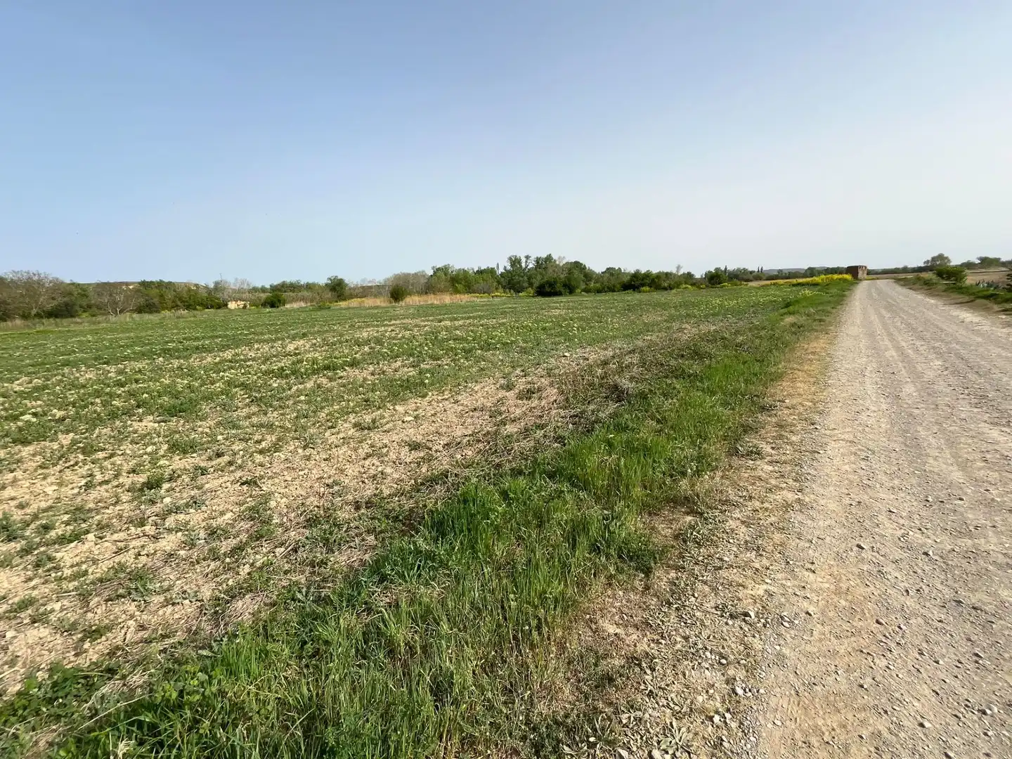 Residential for sale in Beire