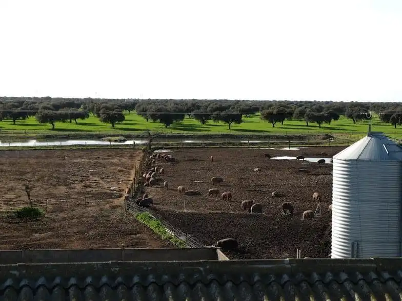Vista exterior de Terreno en venta en Torre de Miguel Sesmero