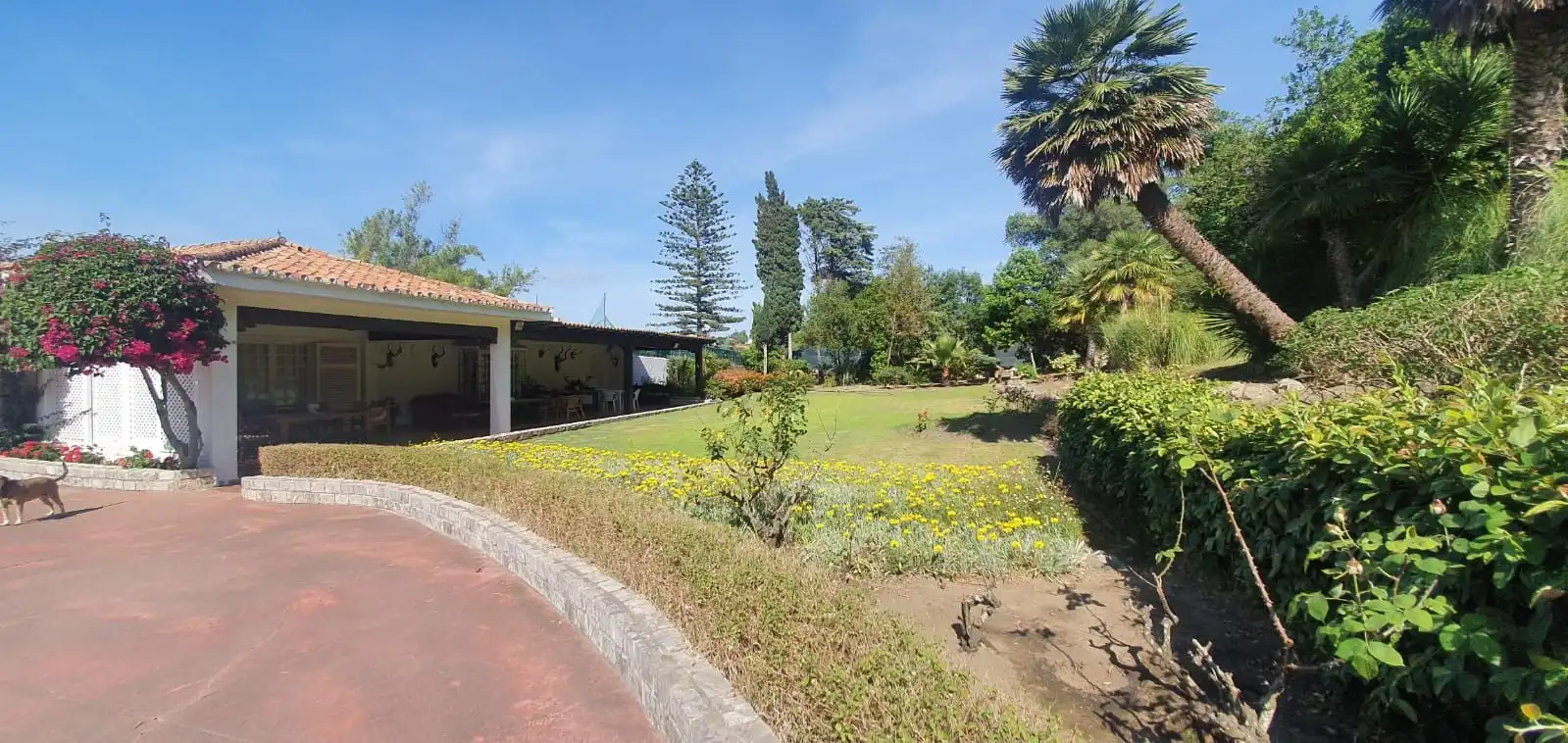 Jardín de Casa o chalet en venta en Algeciras con Aire acondicionado, Jardín privado y Terraza