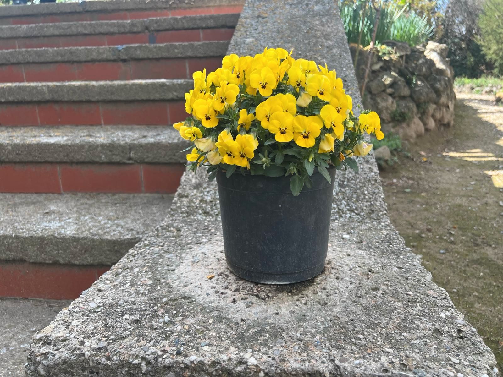 Garden of Country house for sale in Vilanova del Camí  with Private garden, Furnished and Oven