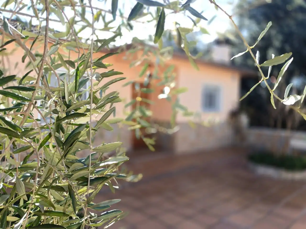 Haus mit Pool zum Verkauf in Calle DESMAI, imagen 33