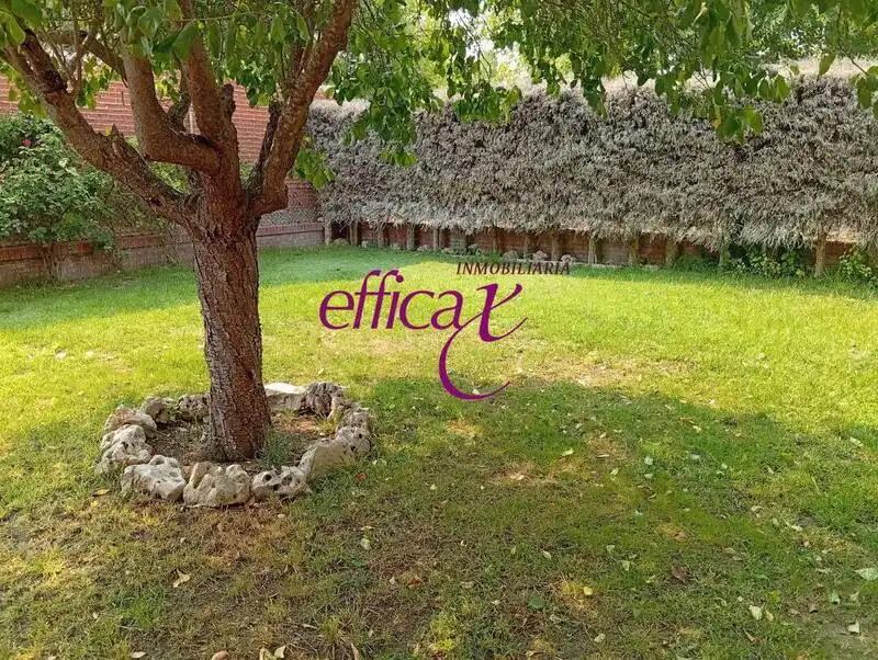 Jardí de Casa o xalet en venda en Alcabón amb Aire condicionat i Calefacció