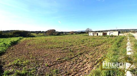 Foto 2 de Casa o xalet en venda a Ma-3321, Manacor Centre, Manacor