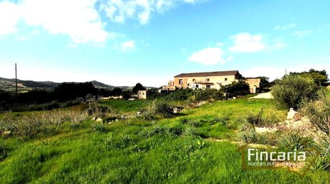 Foto 2 de Finca rústica en venda a De Manacor, Felanitx Poble, Felanitx