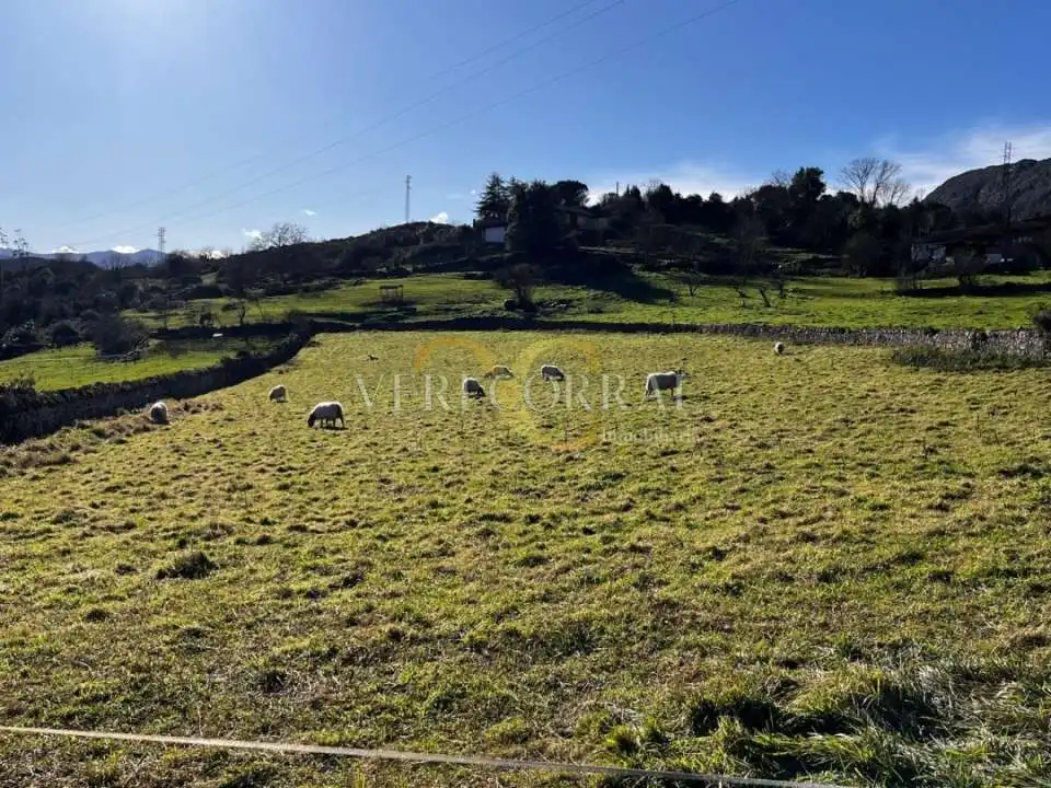 Terreno residencial en venta en Collía, imagen 5