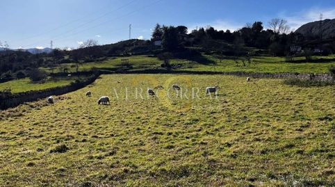 Terreno de más de 3000m a 2km de Arriondas., immagine 5