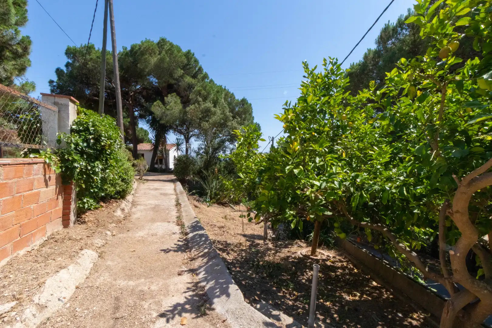 Villa mit Terrasse zum Verkauf in Sant Cebrià de Vallalta, imagen 5