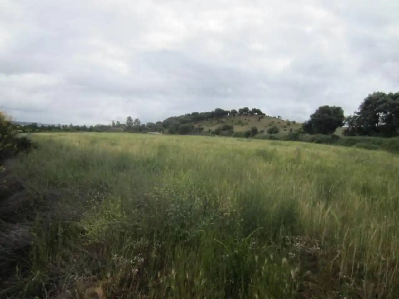 Terreno rústico en venta en Poligono 17, imagen 12