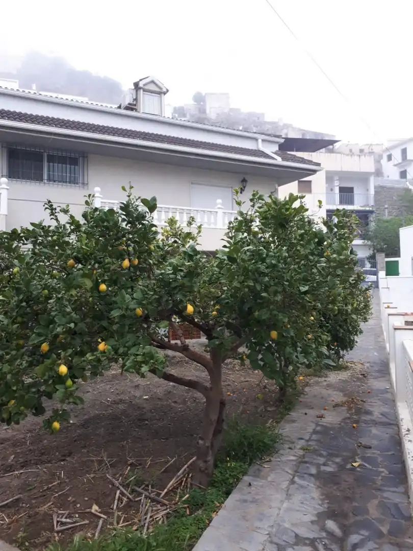 Jardí de Finca rústica en venda en Sierro amb Aire condicionat, Jardí privat i Terrassa
