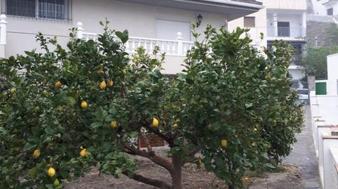 Foto 2 de Finca rústica en venda a Sierro, Almería