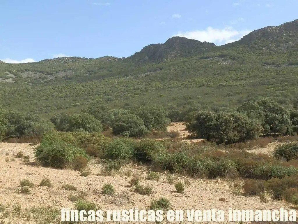 Terreni e lotti in vendita a Peñalsordo, imagen 12