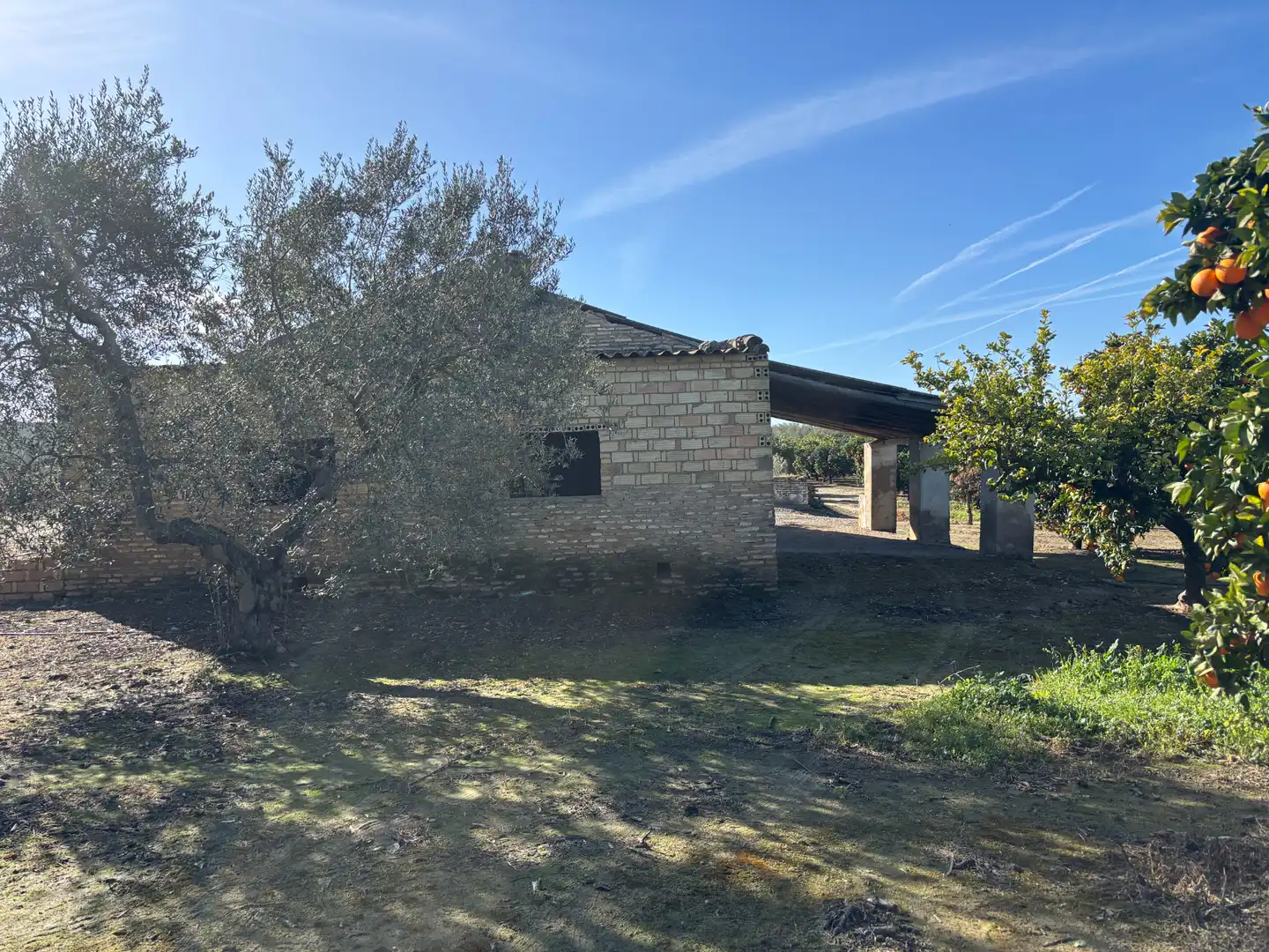 Exterior view of Land for sale in Sanlúcar la Mayor