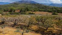 Jardí de Finca rústica en venda en Jarandilla de la Vera amb Aire condicionat, Calefacció i Jardí privat