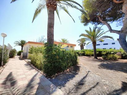 Garden of House or chalet for sale in Sagunto / Sagunt  with Private garden and Terrace