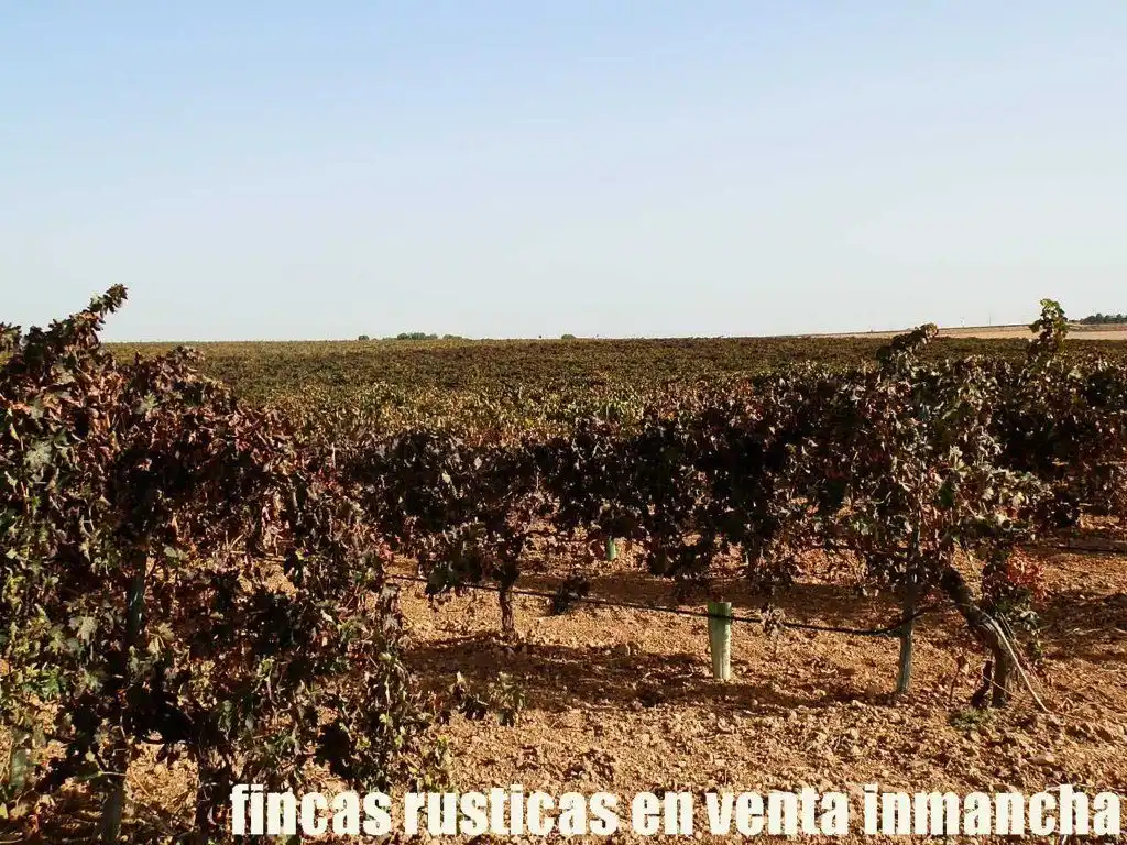 Terrenys i solars en venda a Almagro, imagen 21