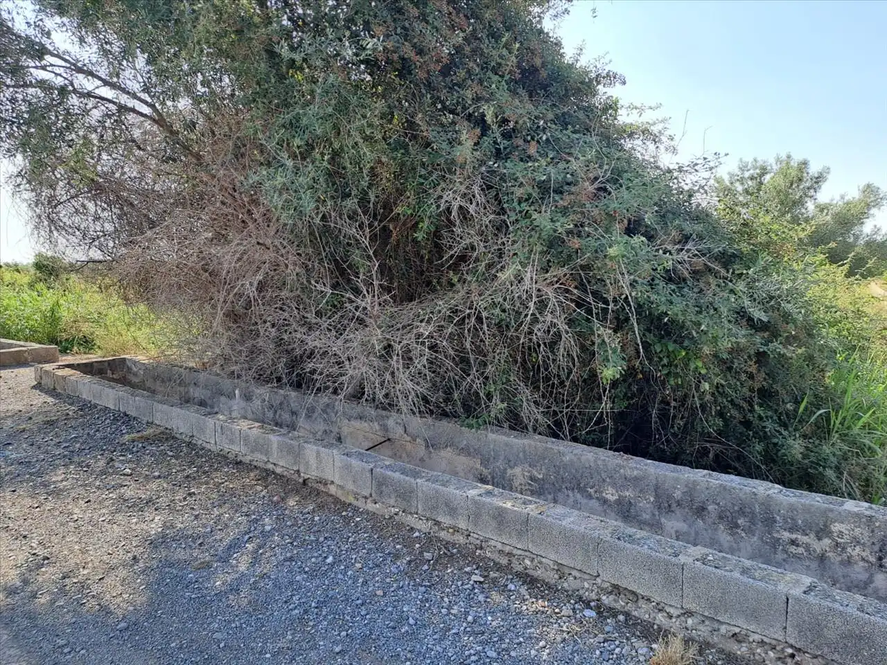 Terreny residencial en venda a POLÍGONO 3, imagen 3