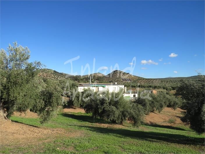 Houses for sale in Martos  with Terrace, Storage room and Swimming Pool