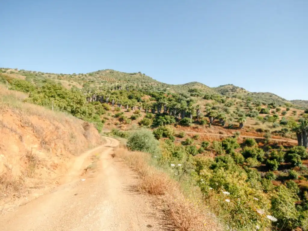 Exterior view of Houses for sale in Monda