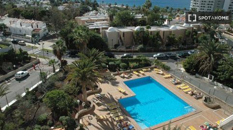 Foto 3 de Estudi per a compartir a Playa de las Américas, Santa Cruz de Tenerife