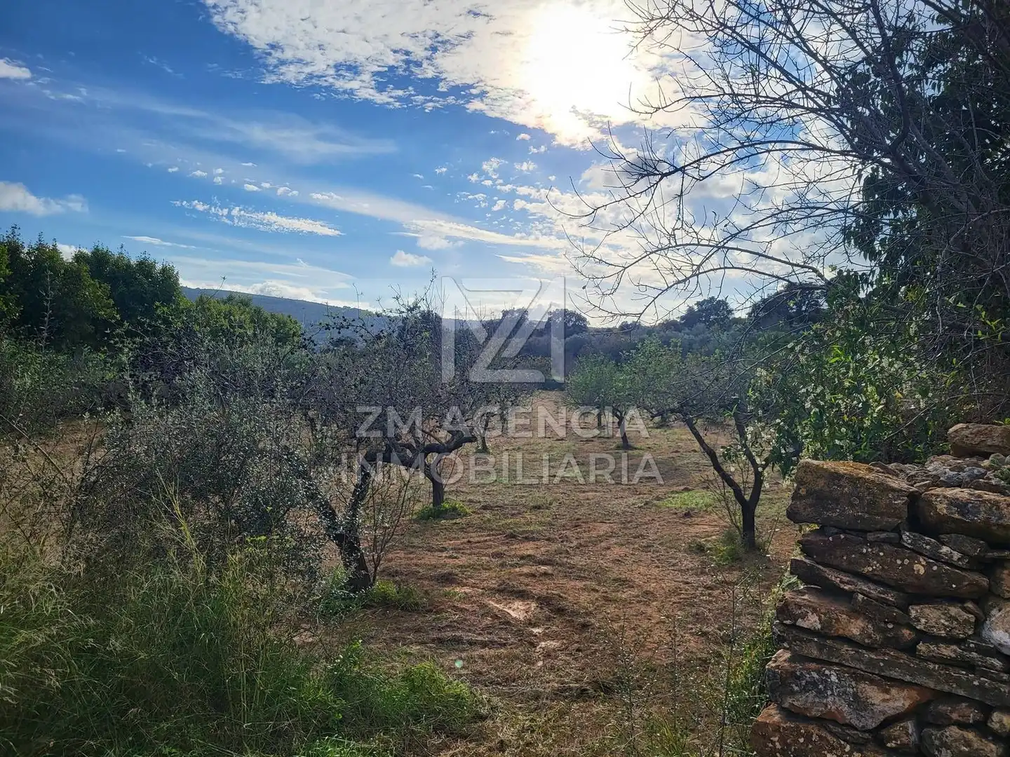 Terreno rustico in vendita a Traiguera, imagen 17