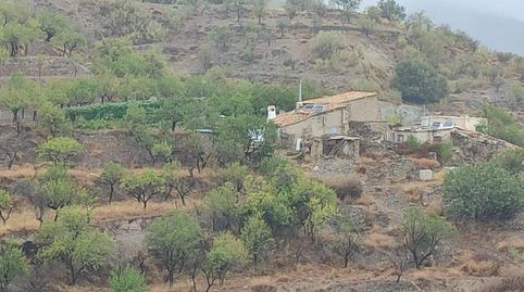 VENTA EN SIERRO  ALMERÍA  DE TERRENO PARA CAZA.