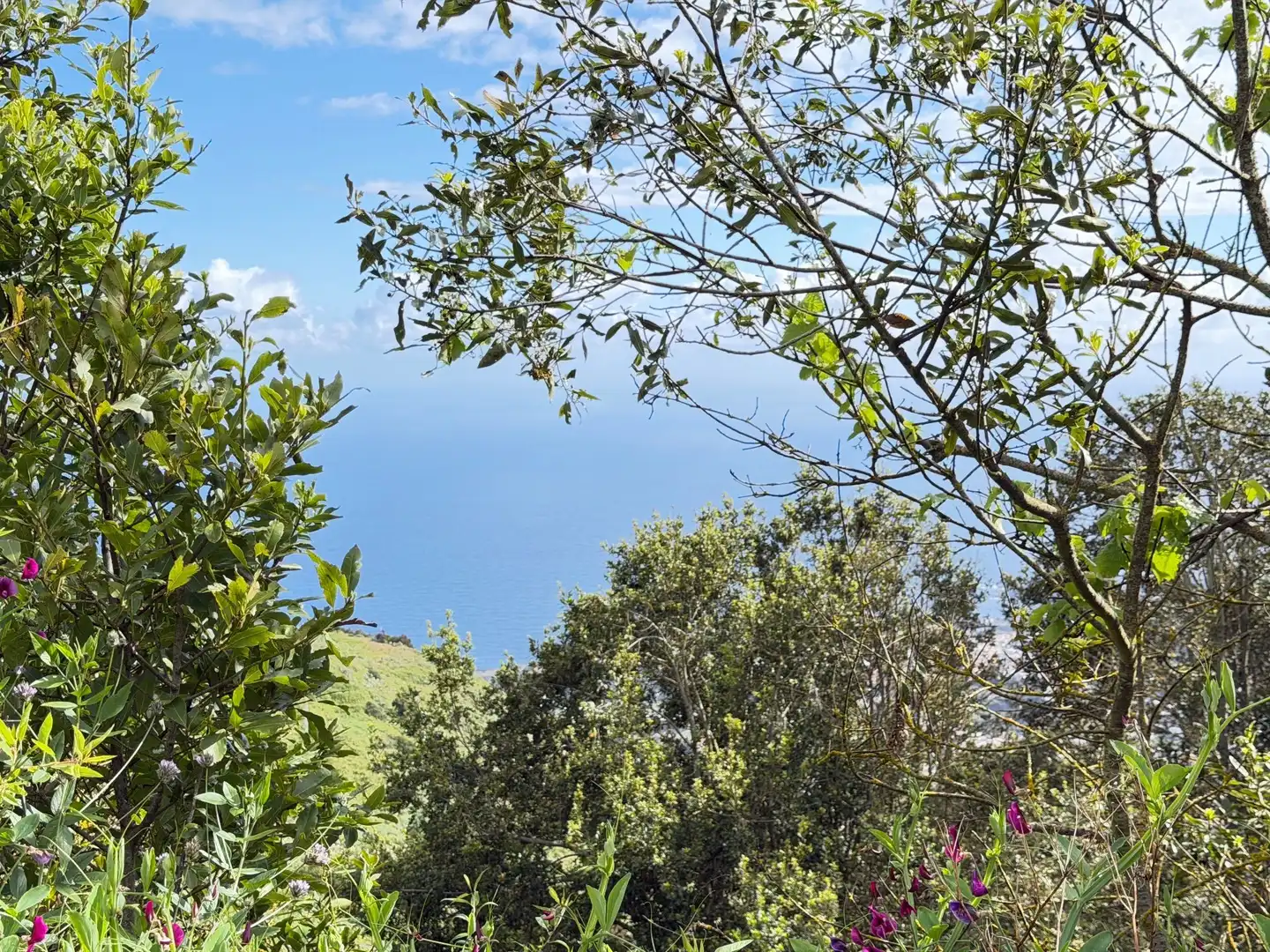 Vista exterior de Casa o xalet en venda en Icod de los Vinos amb Calefacció i Moblat