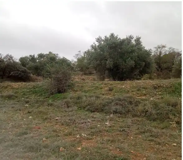 Rustikales Grundstück zum Verkauf in Villarejo de Salvanés, imagen 3