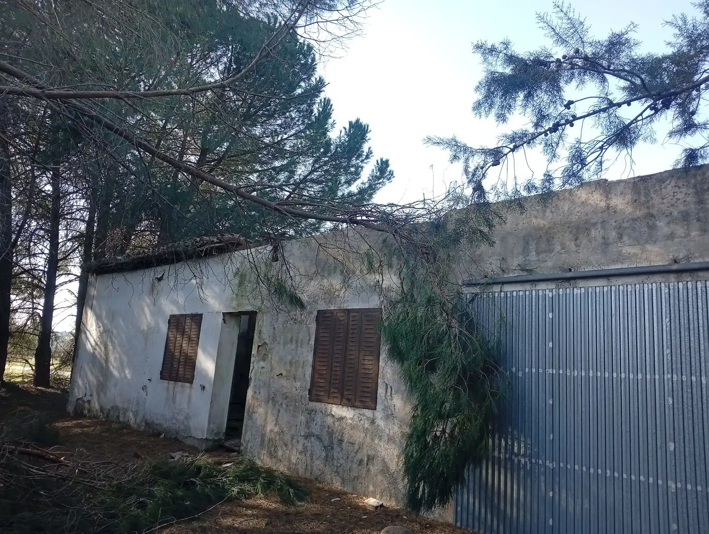 Terreni e lotti in vendita a Villanueva de la Vera, imagen 3