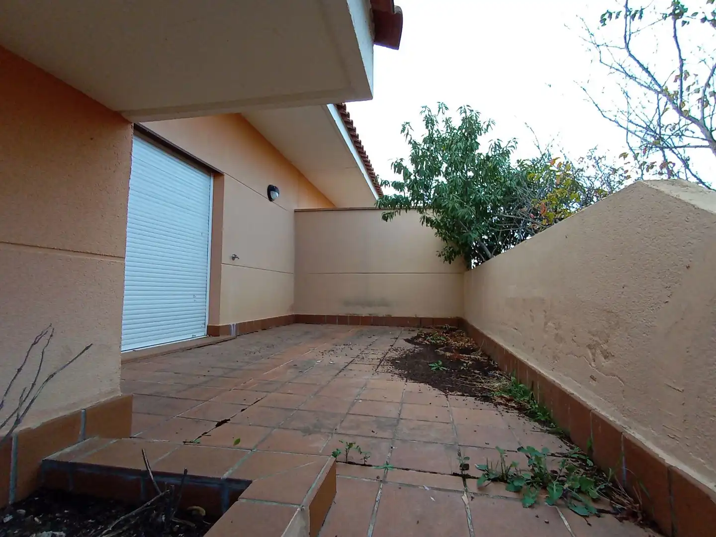Maison avec jardin à vendre à Manuel herrera, imagen 36