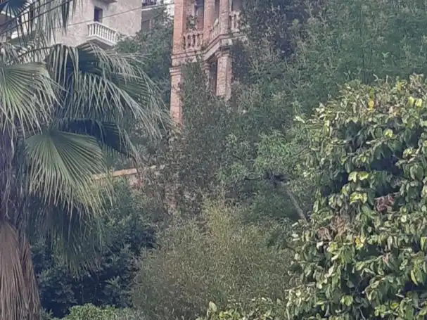 Terreno residencial en venta en Santa Magdalena 1-3, imagen 8