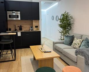 Living room of Study to rent in  Madrid Capital  with Air Conditioner, Heating and Furnished
