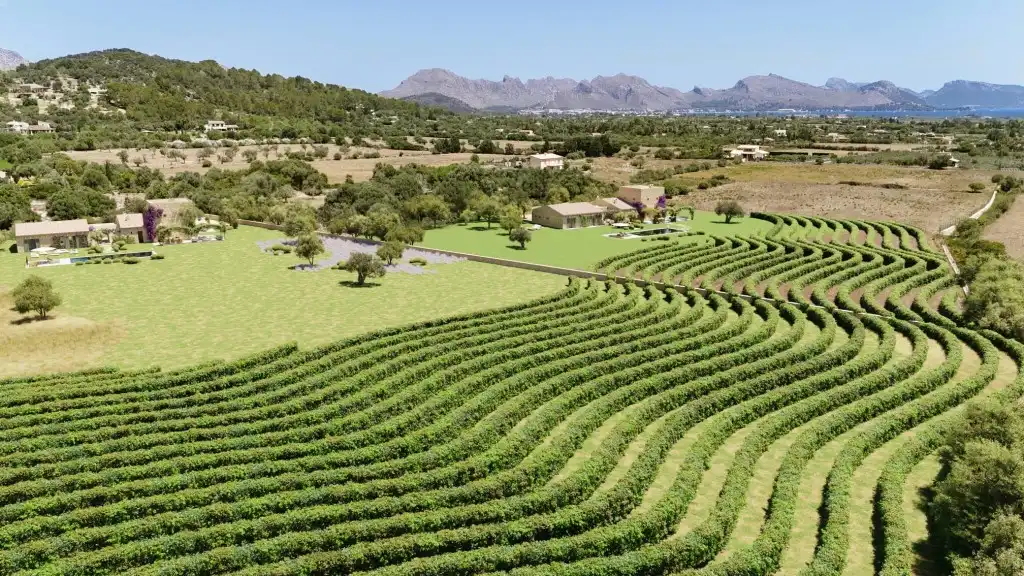 Terreno rustico in vendita a Pollença Poble, imagen 4