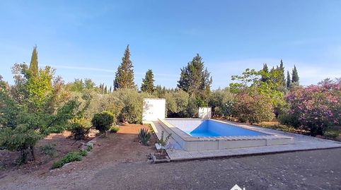Foto 3 de Finca rústica en venta en Principal, San Roque - La Cruz - La Rozuela, Linares