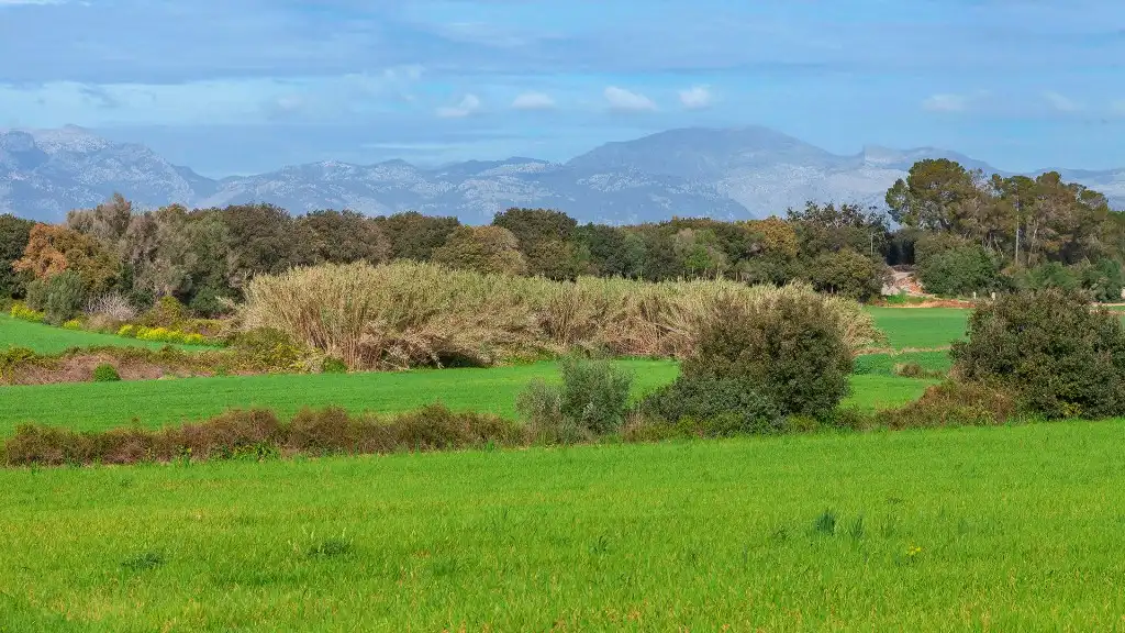 Rural land for sale in Muro, imagen 10
